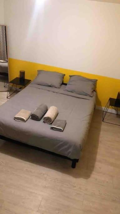 Le Berlier 60M2 + Cour Privee - Centre Historique Apartment Dijon Ngoại thất bức ảnh