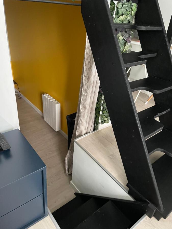 Le Berlier 60M2 + Cour Privee - Centre Historique Apartment Dijon Ngoại thất bức ảnh