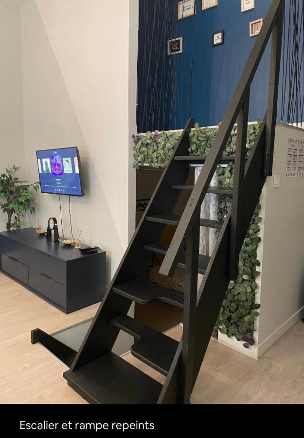 Le Berlier 60M2 + Cour Privee - Centre Historique Apartment Dijon Ngoại thất bức ảnh